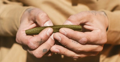 Natural Leaf Wraps: A Cleaner Way to Enjoy Your Blends